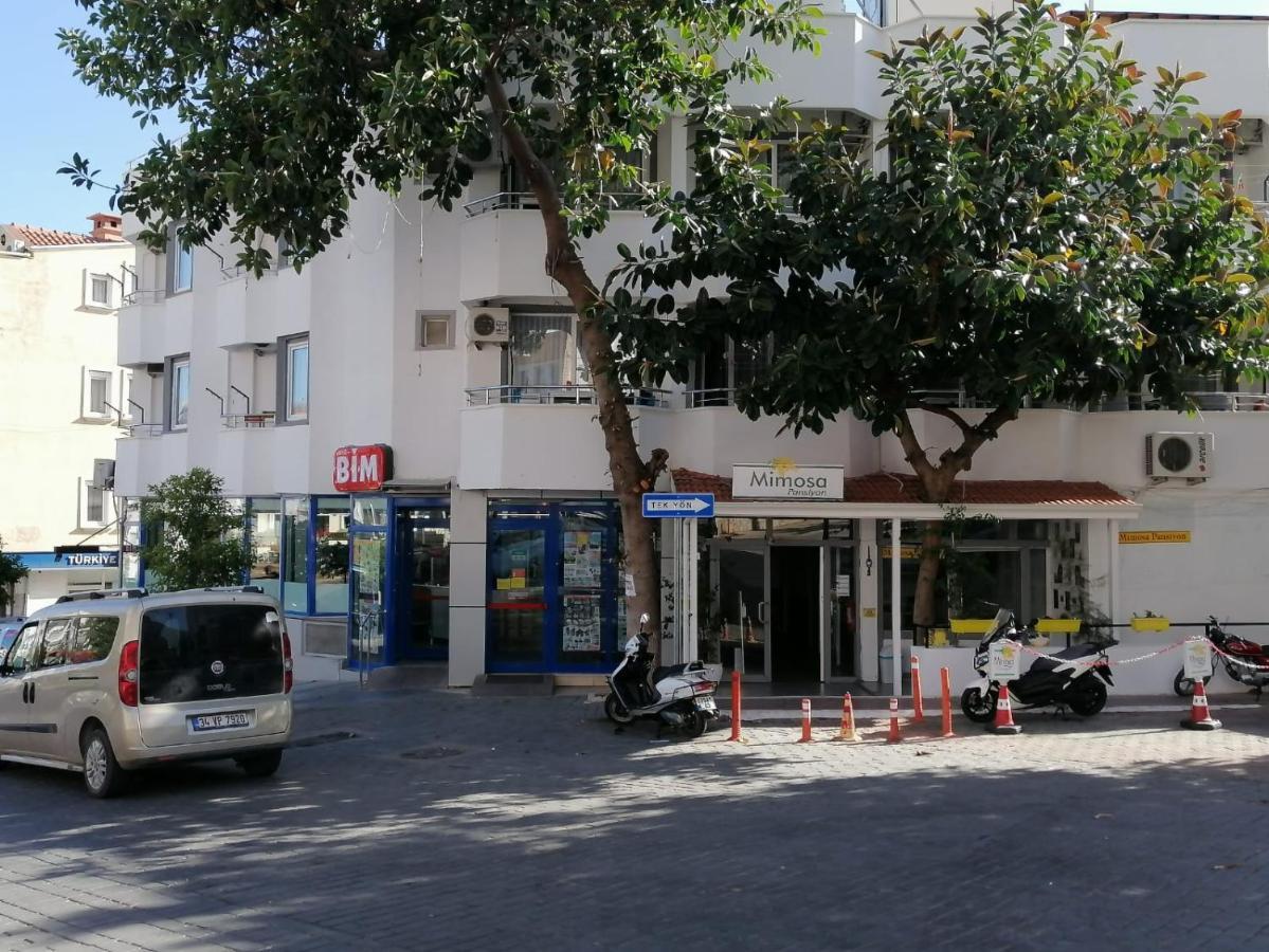 קס Mimosa Pension מראה חיצוני תמונה