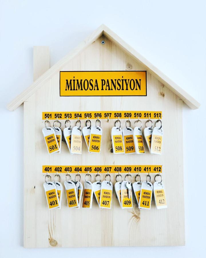 קס Mimosa Pension מראה חיצוני תמונה