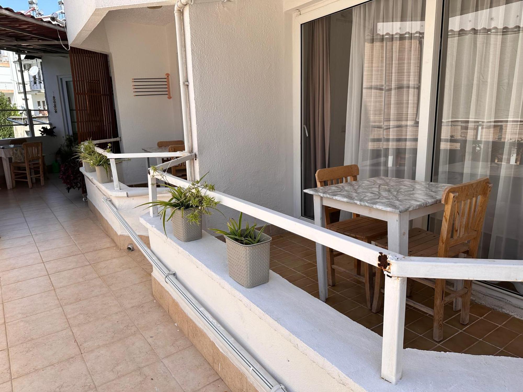 קס Mimosa Pension מראה חיצוני תמונה