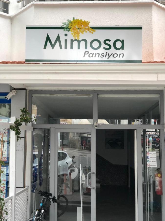 קס Mimosa Pension מראה חיצוני תמונה