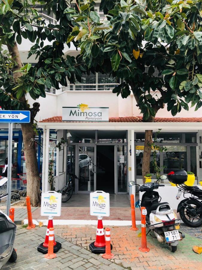 קס Mimosa Pension מראה חיצוני תמונה