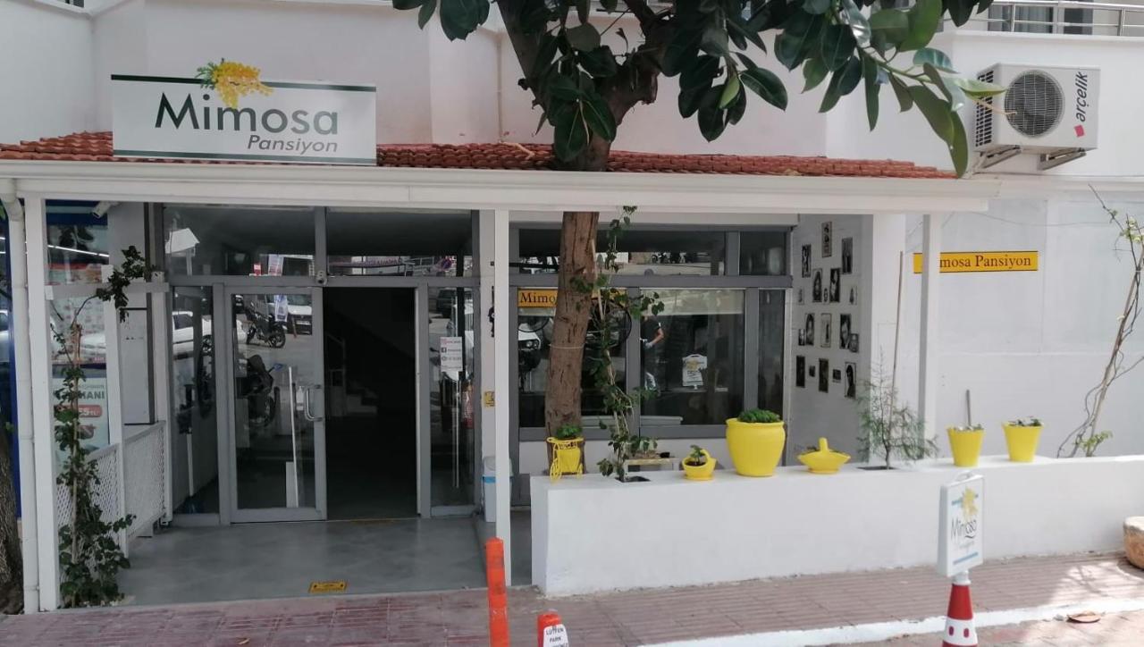 קס Mimosa Pension מראה חיצוני תמונה